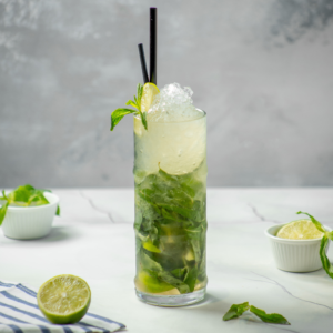 Classic Mojito Fizz