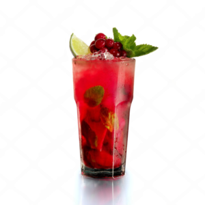 Cranberry Mojito